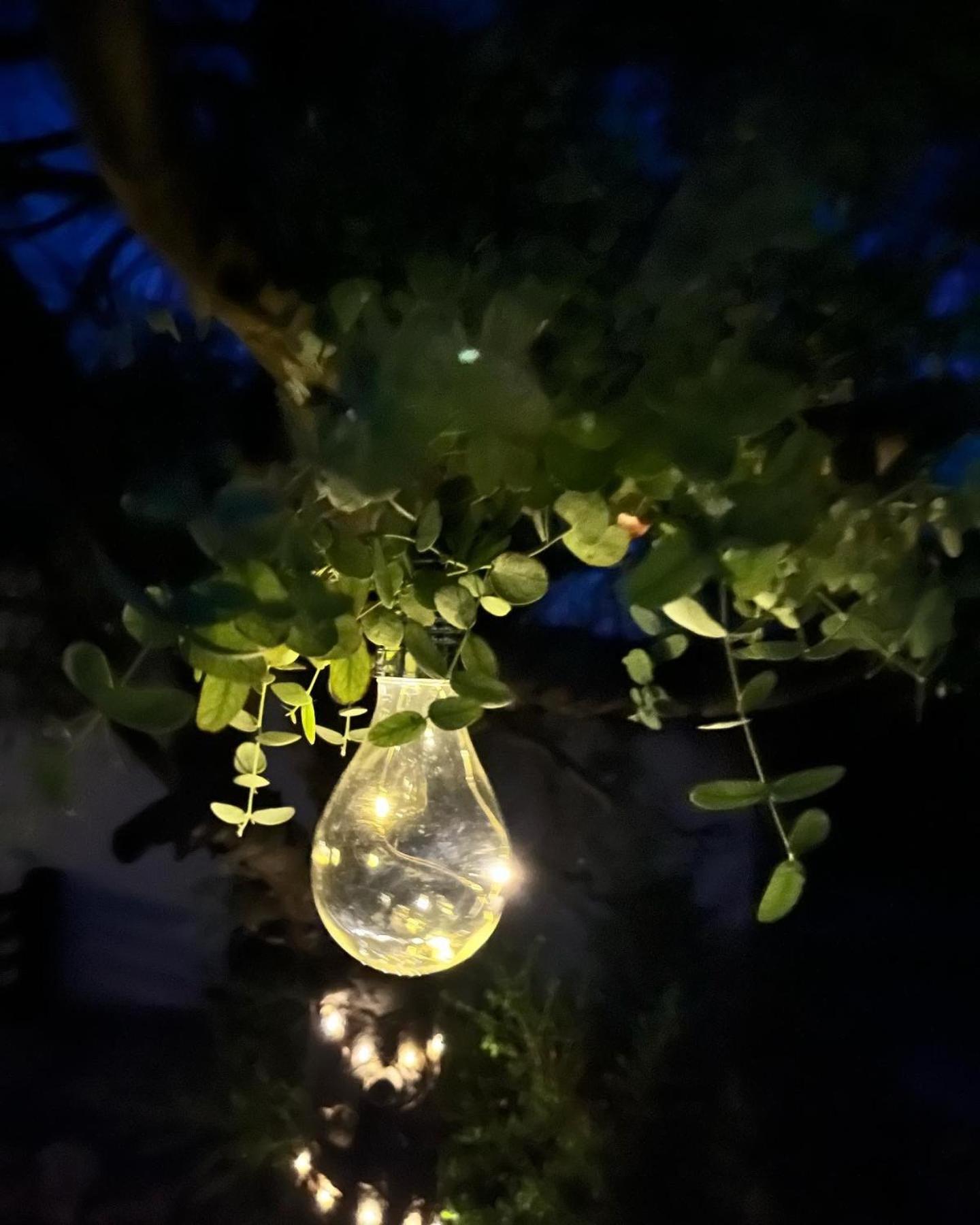 Gite La Borie Fons  Dış mekan fotoğraf
