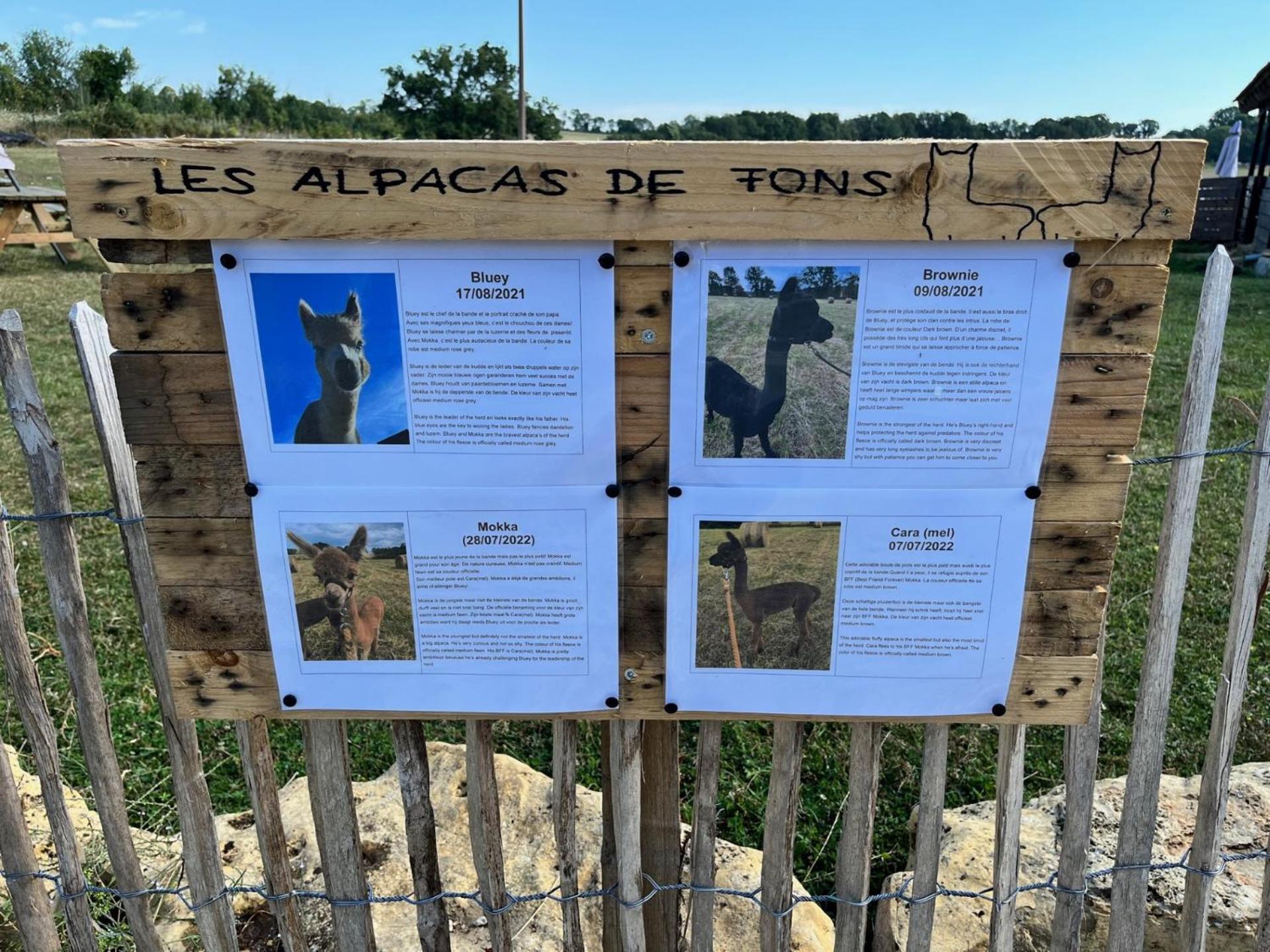 Gite La Borie Fons  Dış mekan fotoğraf